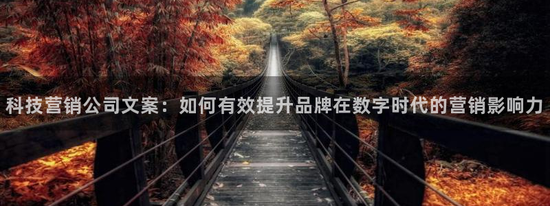 金年会体育中心