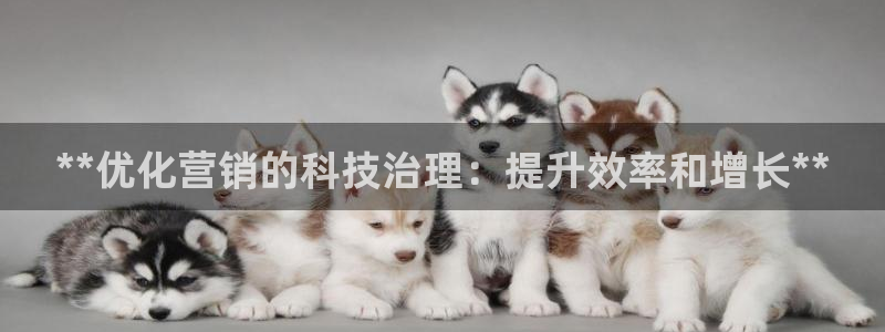 金年会下载官方网站