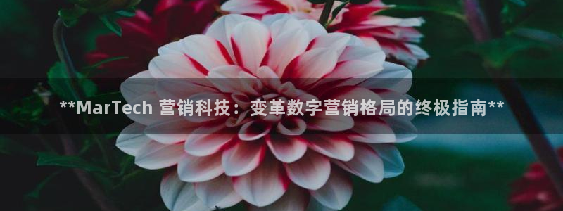 金年会体育论坛官网