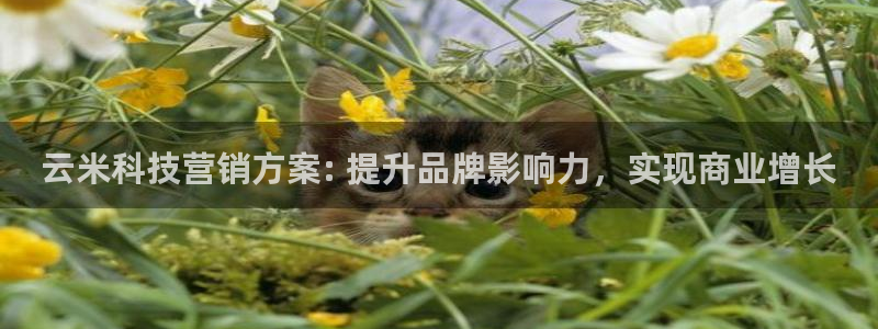 金年会体育app下载官网苹果
