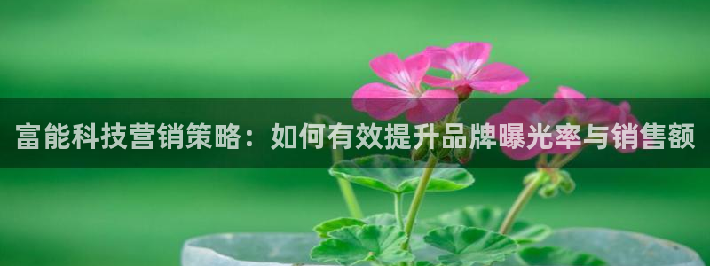金年会体育黑吗