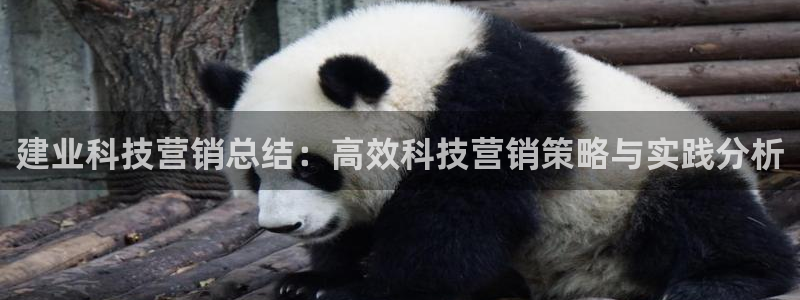 金年会体育官方