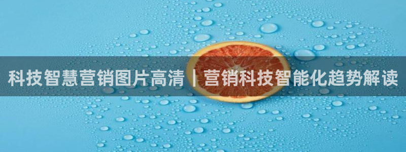 金年会官方app下载
