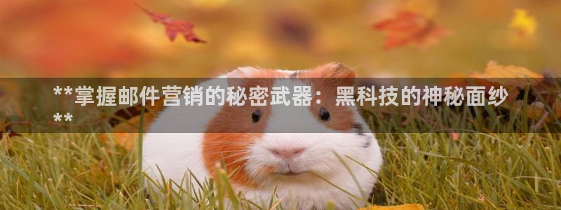 金年会体育手机app下载官网最新版