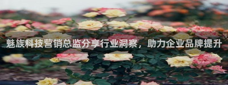 金年会体育隐藏入口