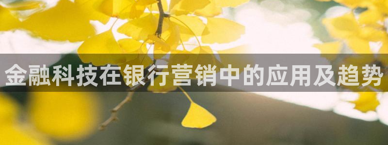 金年会app官方网站下载