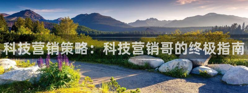 金年会平台真他妈坑人