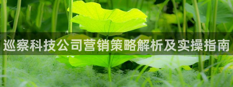 金年会体育app官网下载
