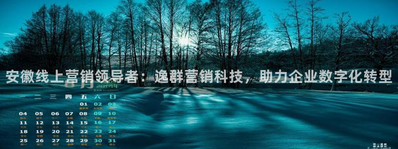 金年会电子官网下载