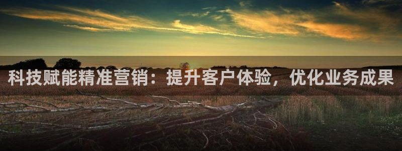 金年会体育官网是多少
