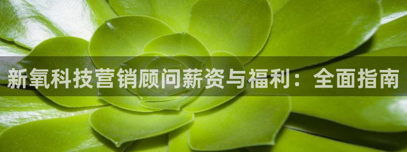 金年会是不是黑平台