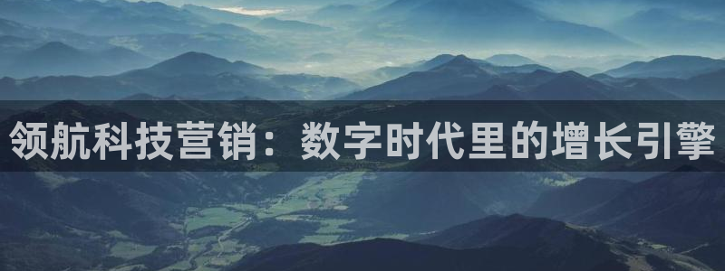 金年会体育一直输
