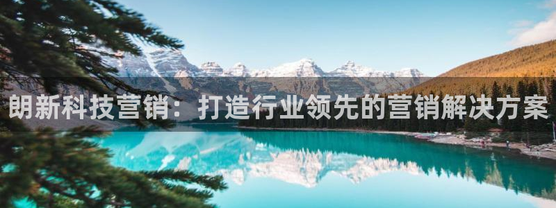 金年会体育app下载官网安卓手机