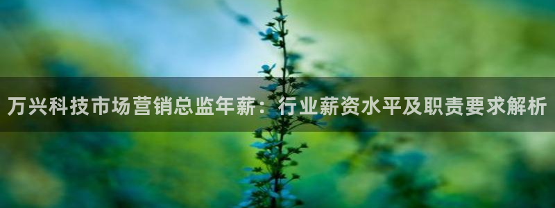 金年会ivp