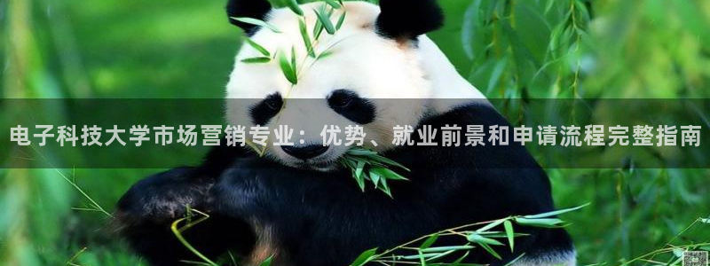 金年会体育是诈骗