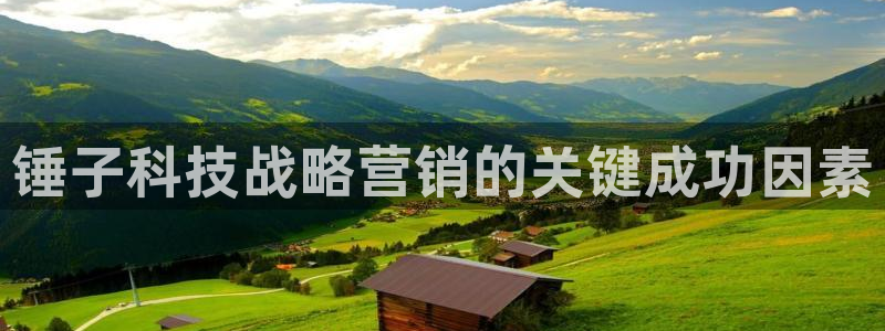金年会电子游戏怎么玩
