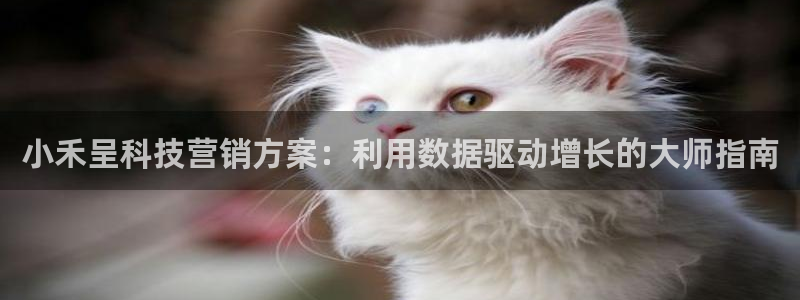 金年会平台真他妈坑人