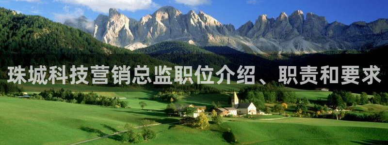 金年会官方体育频道直播