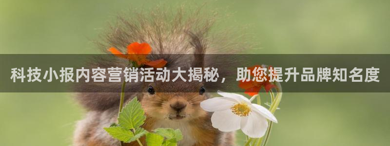 金年会下载链接