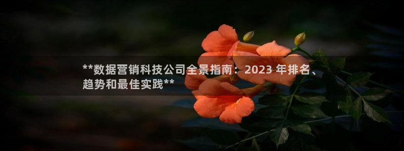 金年会金字招牌信誉至上365