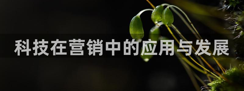 jinnianhui金年会世界杯