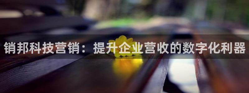 金年会ios下载
