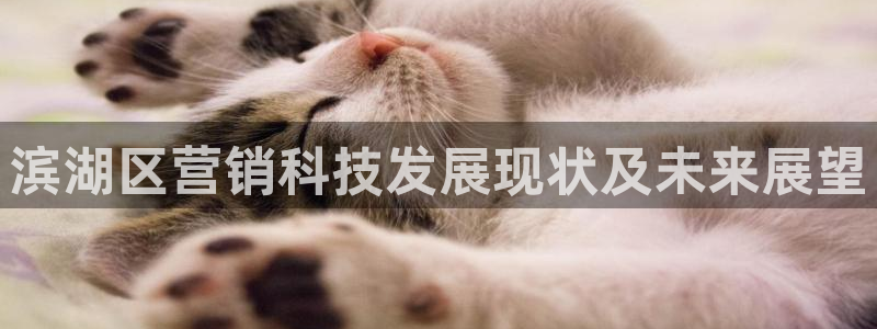 金年会app官方网站入口
