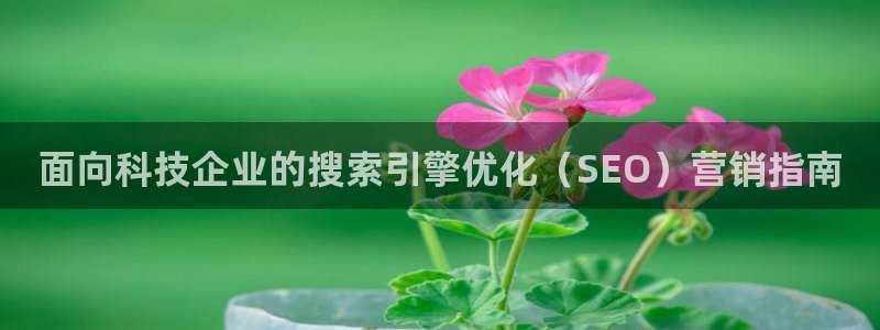 金年会网站提现一直显示审核当中怎么办