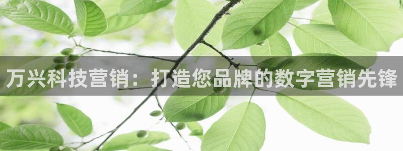 金年会jinnian体育下载app