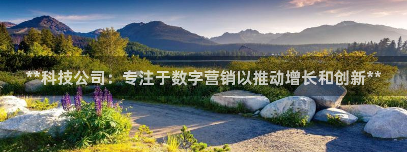 金年会官方在线登录网