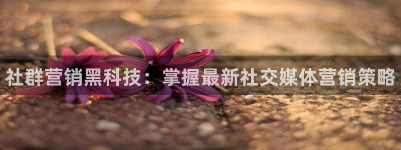金年会下载中心：社群
